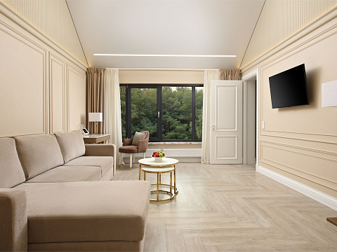 Спа-санаторий AMK Montis Club г. Железноводск. Номер  Premium Suite